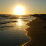 Camping Internazionale Di Castelfusano - Bild 6