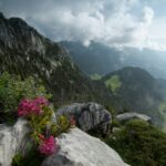 Camping Jaunpass - Bild 16