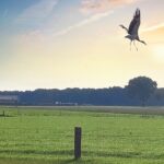 Camping Kempenstee - Bild 17