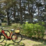 Camping Ker Eden - Bild 7