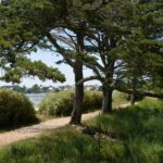 Camping Ker Eden - Bild 9