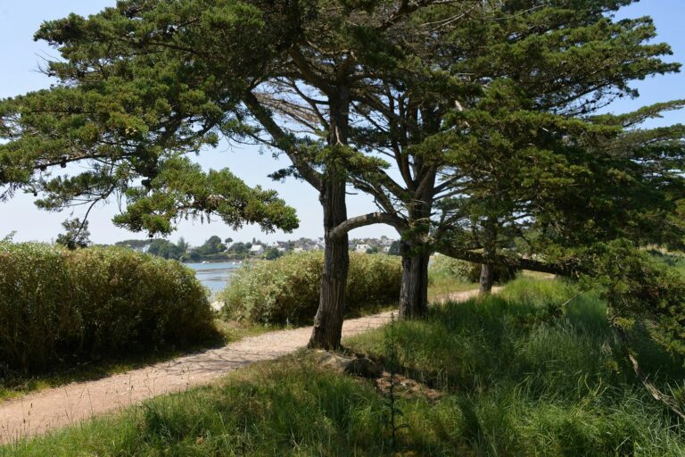 Camping Ker Eden - Bild 9