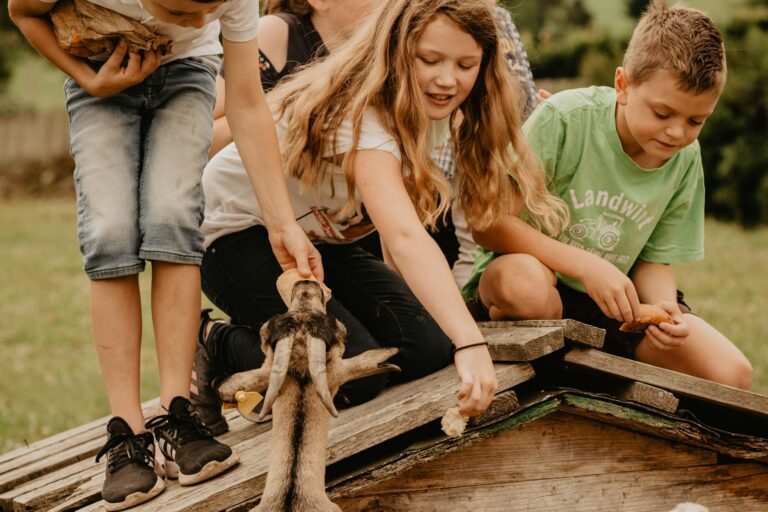 Camping Kirnermarteshof - Bild 14