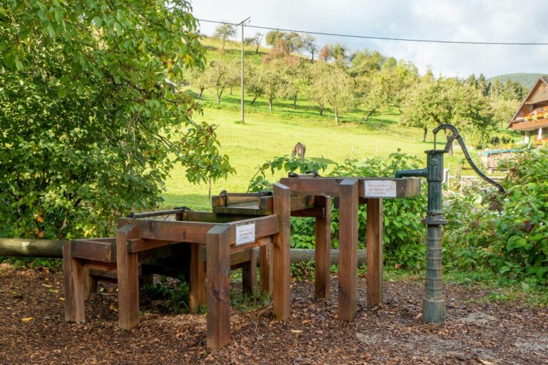 Camping Kirnermarteshof - Bild 3