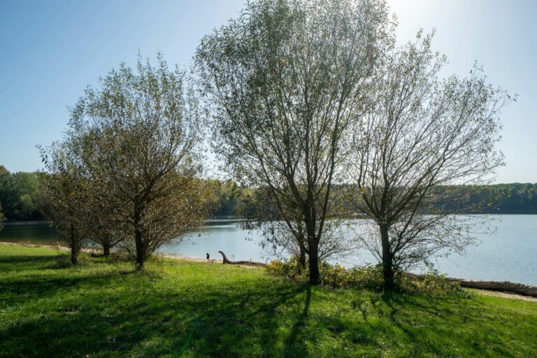 Camping Kollersee - Bild 16