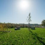 Camping Kollersee - Bild 17