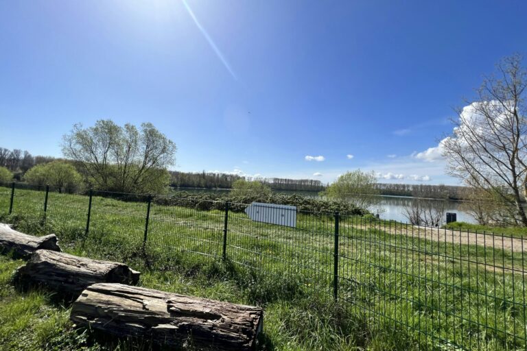 Camping Kollersee - Bild 5