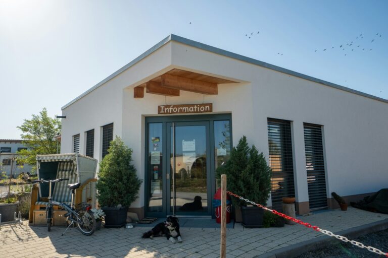 Camping Kollersee - Bild 6