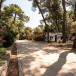 Camping Kozarica - Bild 7