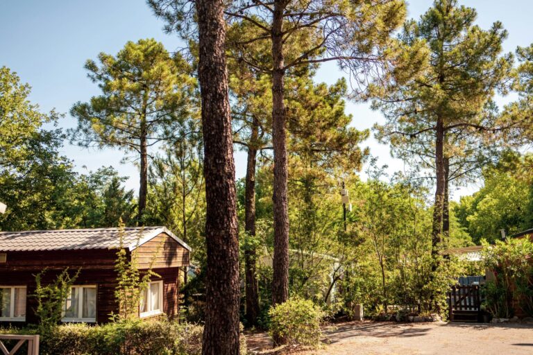 Camping L'argentière - Bild 1 Camping L'argentière - Bild 1