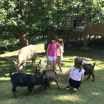 Camping L'offrerie - Bild 1