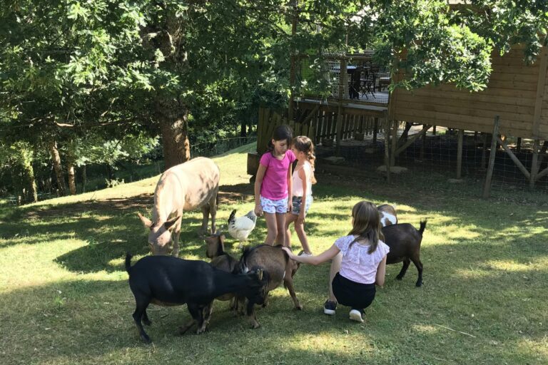 Camping L'offrerie - Bild 1 Camping L'offrerie - Bild 1