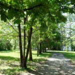 Camping L'ondine De Provence - Bild 1