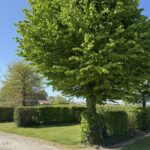 Camping L'orée Des Caps - Bild 1 Camping L'orée Des Caps - Bild 1