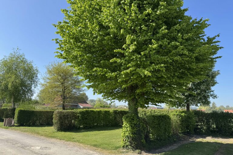 Camping L'orée Des Caps - Bild 1