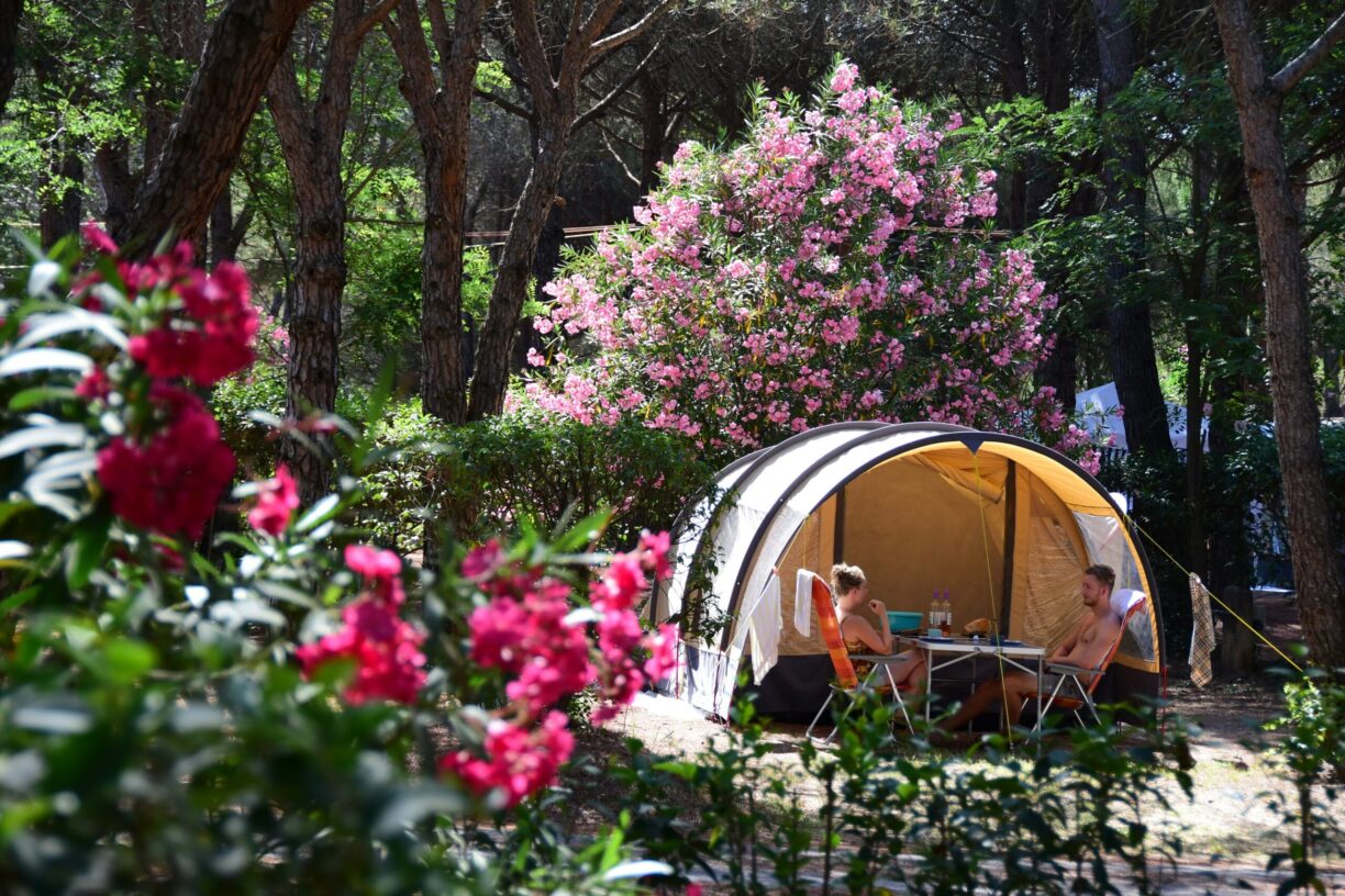 Camping La Baume - La Palmeraie - Bild 5 Camping La Baume - La Palmeraie - Bild 5