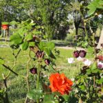 Camping La Belle Étoile - Bild 17