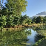 Camping La Bernède - Bild 5