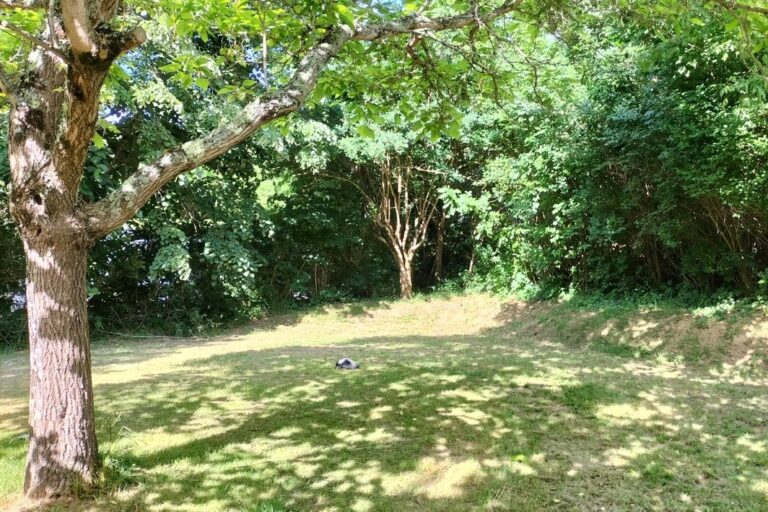 Camping La Bernède - Bild 7