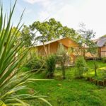 Flower Camping La Blanche Hermine - Bild 1 Flower Camping La Blanche Hermine - Bild 1