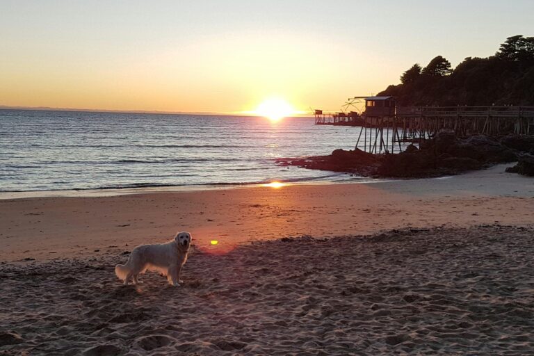 Camping La Boutinardière - Bild 19