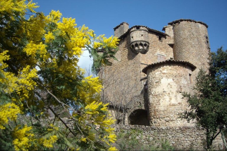 Camping La Charderie - Bild 9