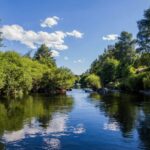 Camping La Cigale De L'allier - Bild 5