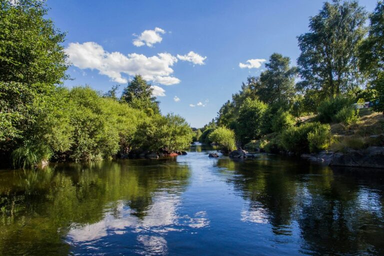 Camping La Cigale De L'allier - Bild 5