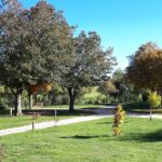 Camping La Cigale De L'allier - Bild 8