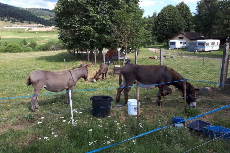 Camping La Cigale De L'allier - Bild 9