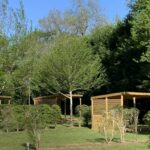 Camping La Cigaline - Bild 5