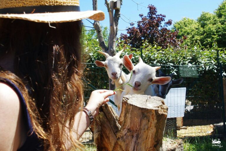 Camping La Ferme De Lann Hoedic - Bild 13