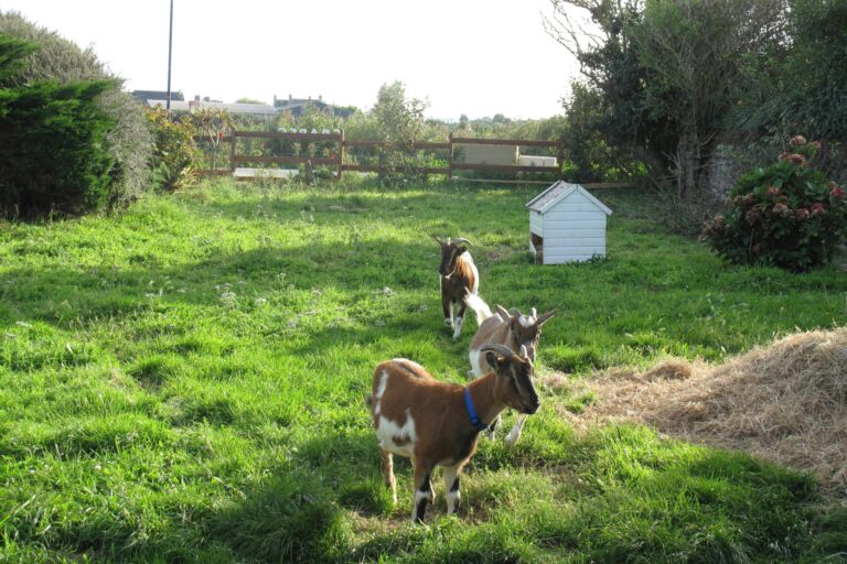 Camping La Ferme Du Bord De Mer - Bild 3 Camping La Ferme Du Bord De Mer - Bild 3