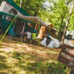 Camping La Grand'terre - Bild 19 Camping La Grand'terre - Bild 19