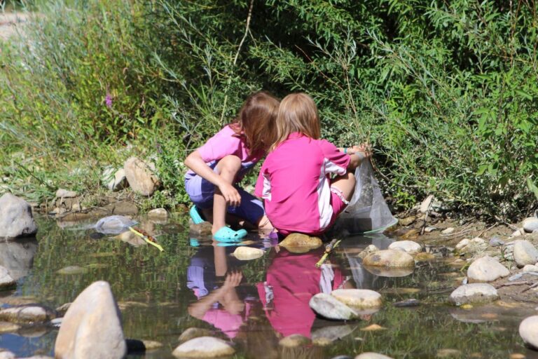 Camping La Grand'terre - Bild 20 Camping La Grand'terre - Bild 20