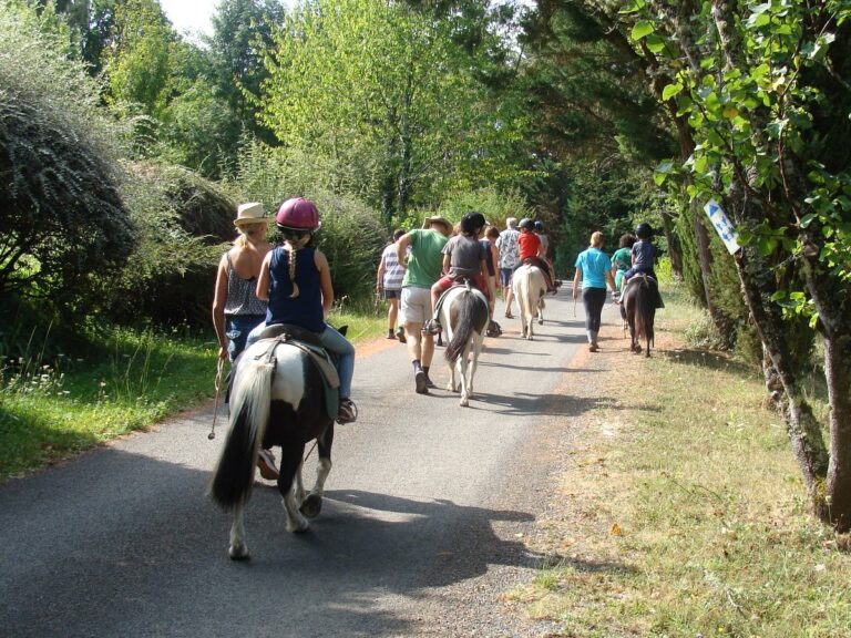Camping La Grande Veyière - Bild 20 Camping La Grande Veyière - Bild 20