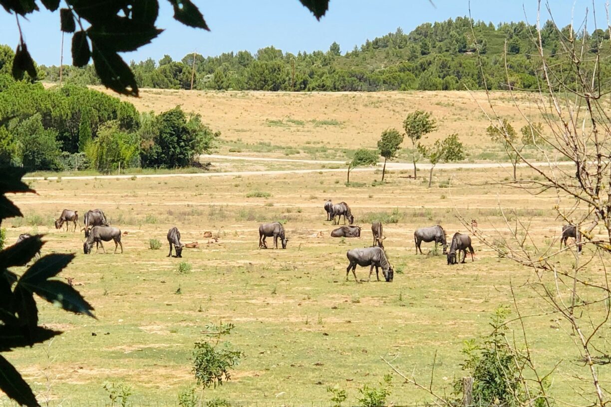 Camping La Grange Neuve - Bild 8 Camping La Grange Neuve - Bild 8