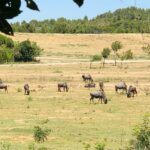 Camping La Grange Neuve - Bild 8 Camping La Grange Neuve - Bild 8