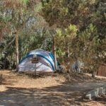 Camping La Liccia - Bild 4