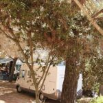 Camping La Liccia - Bild 6