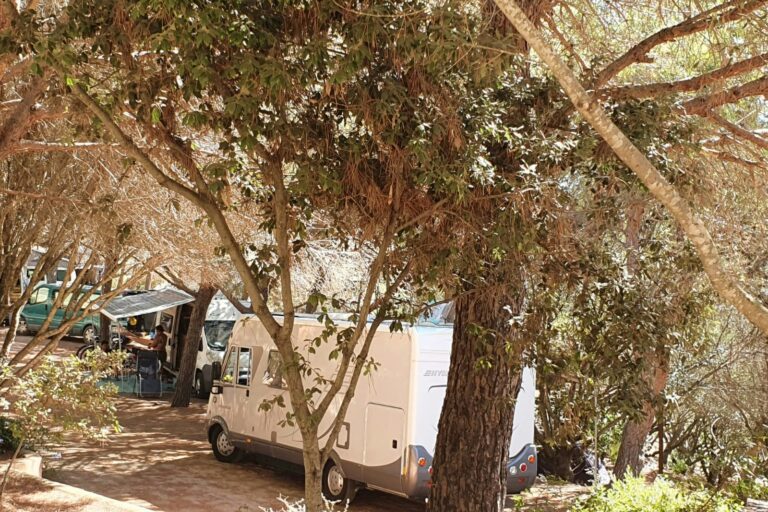 Camping La Liccia - Bild 6