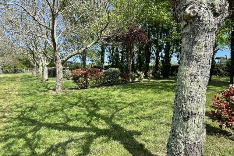 Camping La Maïade, ushuaïa Villages - Bild 16 Camping La Maïade, ushuaïa Villages - Bild 16