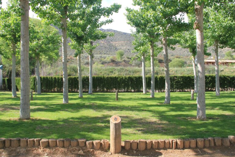 Camping La Noguera - Bild 4 Camping La Noguera - Bild 4