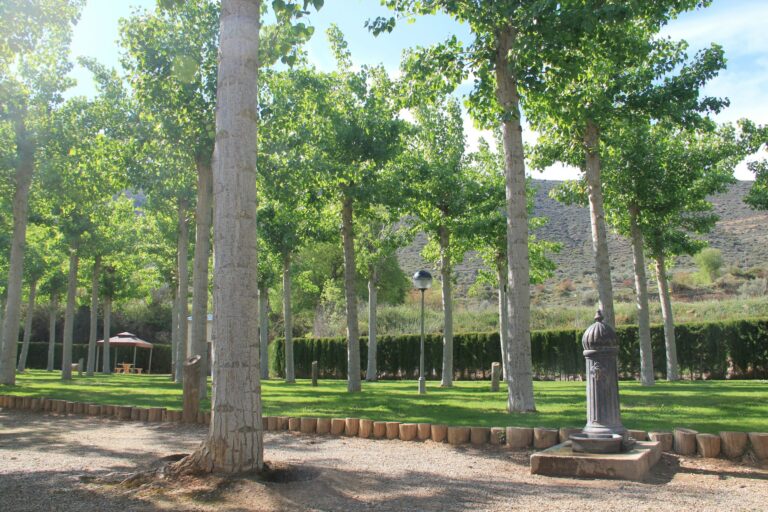 Camping La Noguera - Bild 5 Camping La Noguera - Bild 5