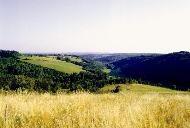 Camping La Nouvelle Croze - Bild 11 Camping La Nouvelle Croze - Bild 11