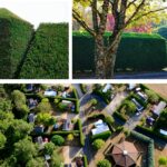 Camping La Nouvelle Croze - Bild 14 Camping La Nouvelle Croze - Bild 14