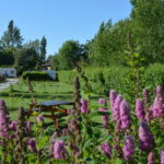 Camping La Petite Forêt - Bild 14