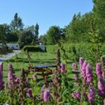 Camping La Petite Forêt - Bild 9