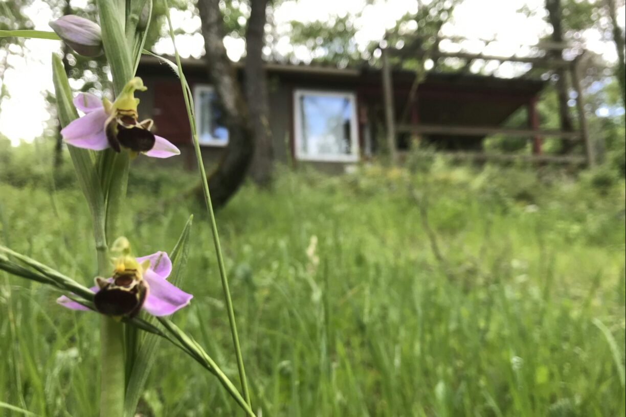 Camping La Peyrugue - Bild 3 Camping La Peyrugue - Bild 3