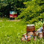 Camping La Pindière - Bild 2 Camping La Pindière - Bild 2